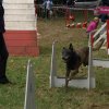 foire-haricots 2011-09-17et18